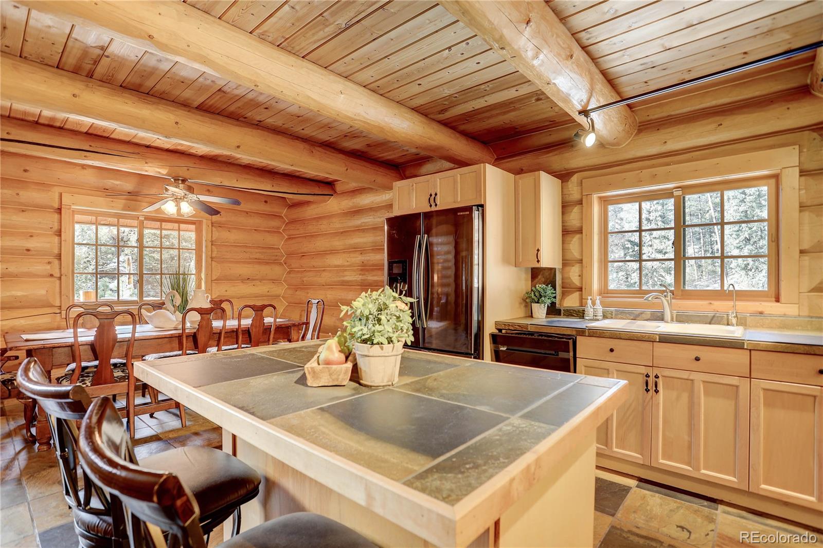 MLS Image #12 for 14662 s elk creek road,pine, Colorado