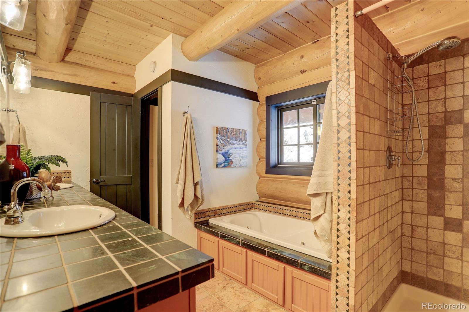 MLS Image #17 for 14662 s elk creek road,pine, Colorado