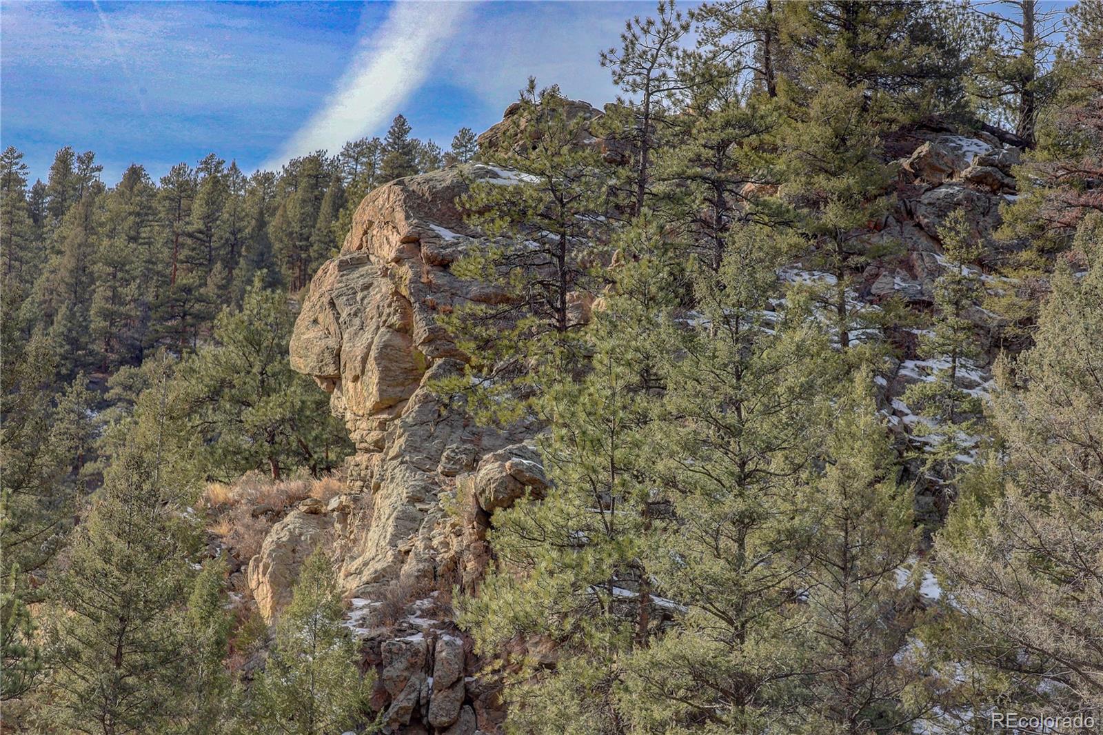 MLS Image #37 for 14662 s elk creek road,pine, Colorado