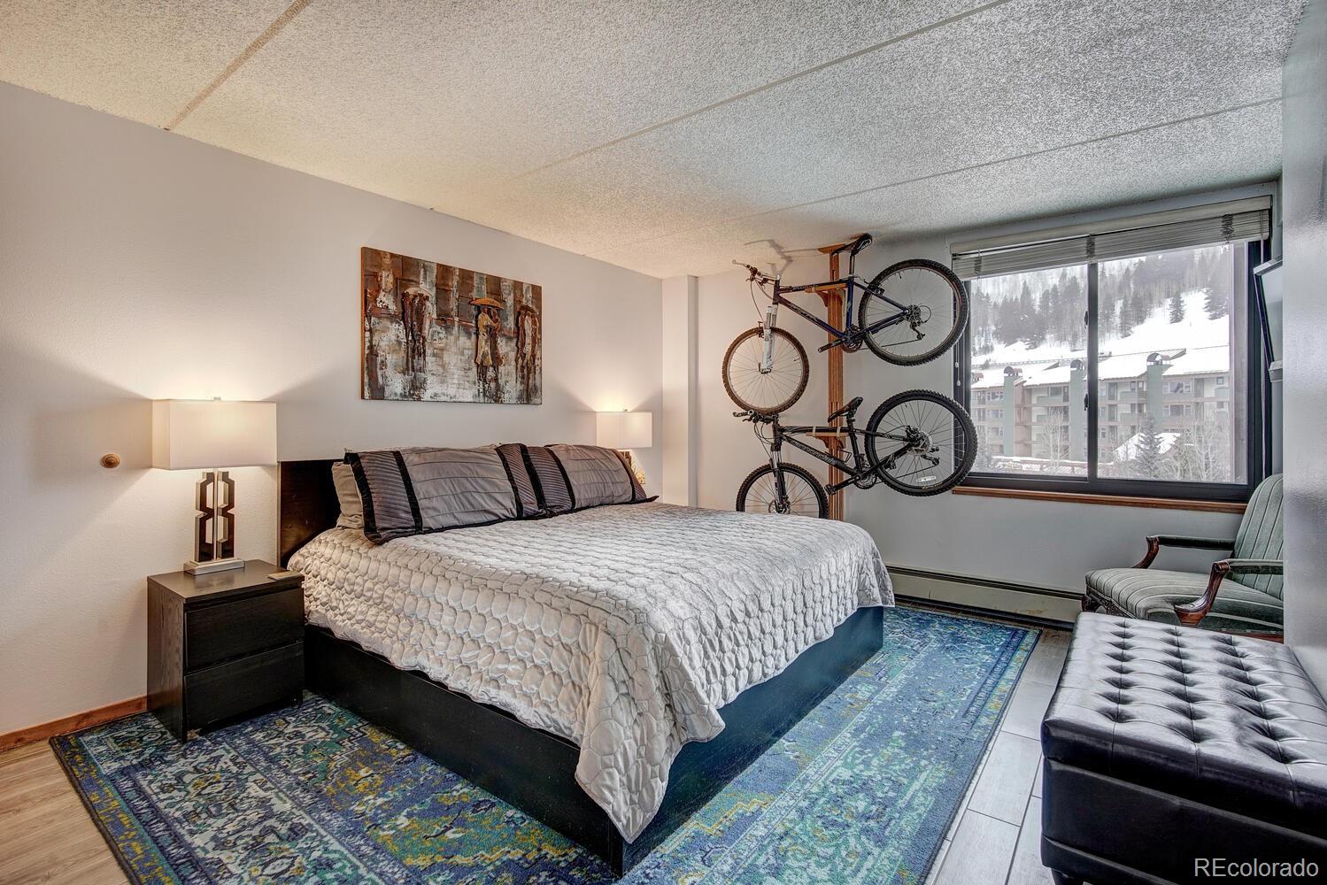 MLS Image #10 for 189  ten mile circle,frisco, Colorado