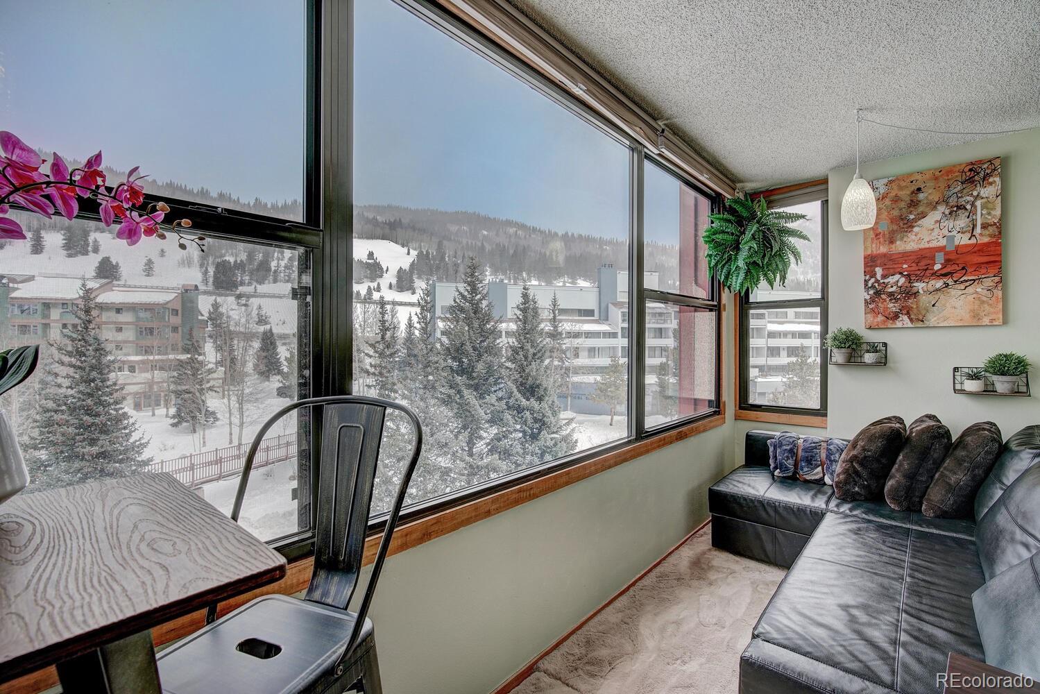 MLS Image #17 for 189  ten mile circle,frisco, Colorado
