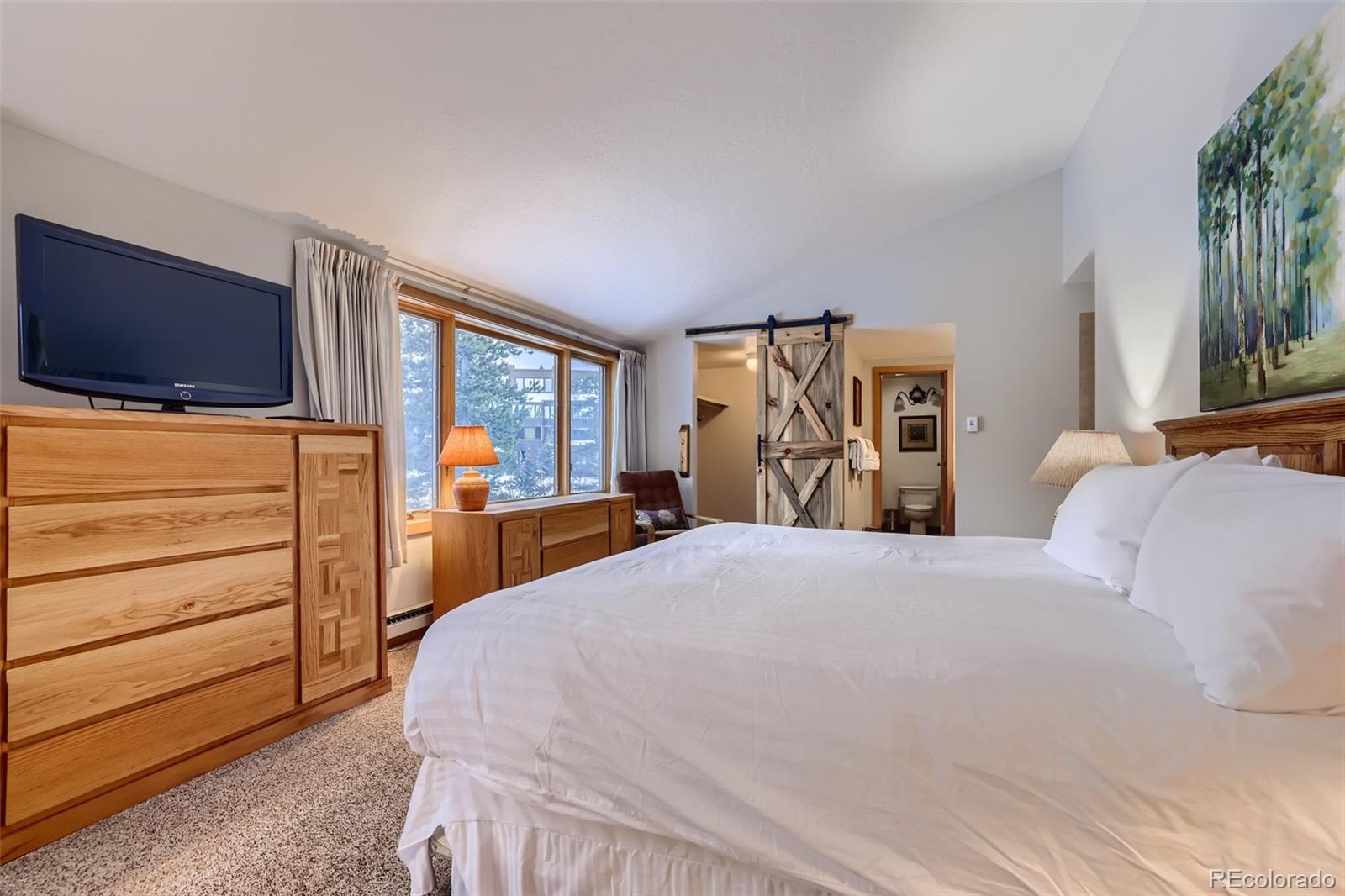 MLS Image #14 for 21690  us highway 6 ,keystone, Colorado