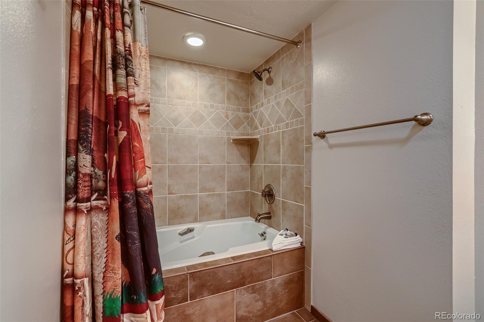 MLS Image #16 for 21690  us highway 6 ,keystone, Colorado