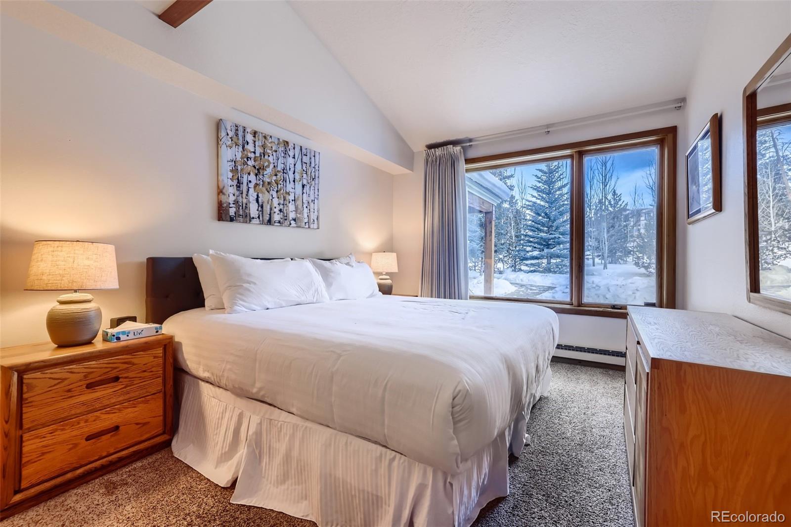 MLS Image #17 for 21690  us highway 6 ,keystone, Colorado