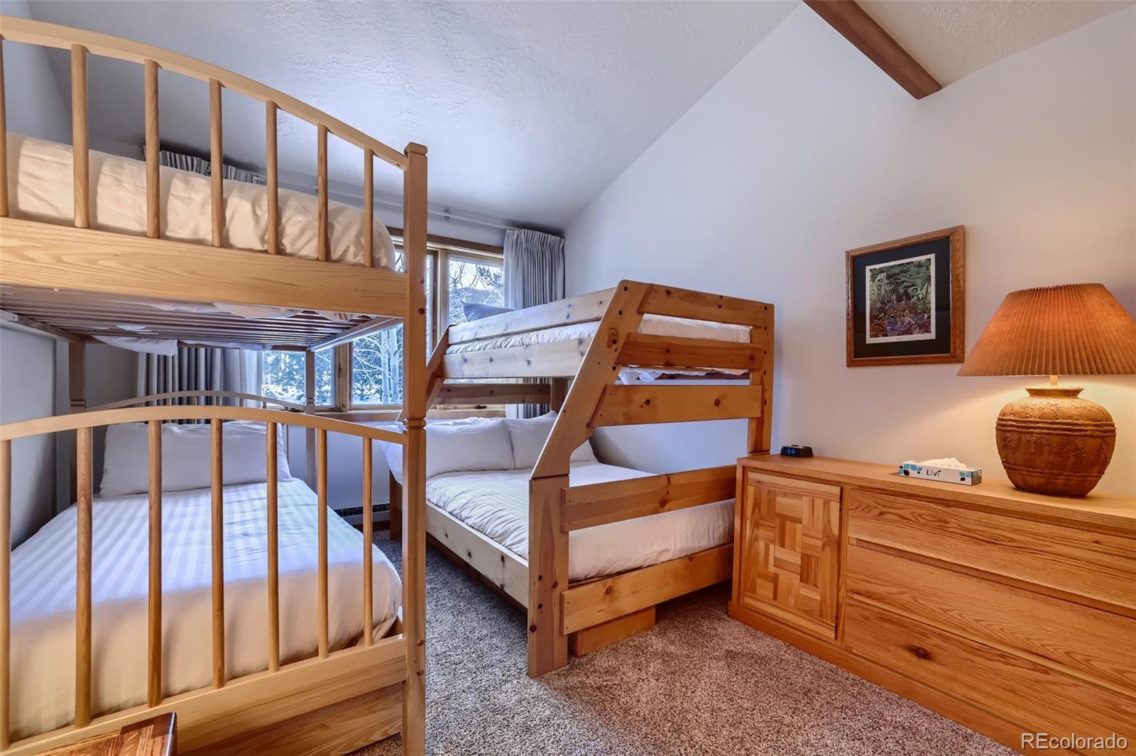 MLS Image #19 for 21690  us highway 6 ,keystone, Colorado