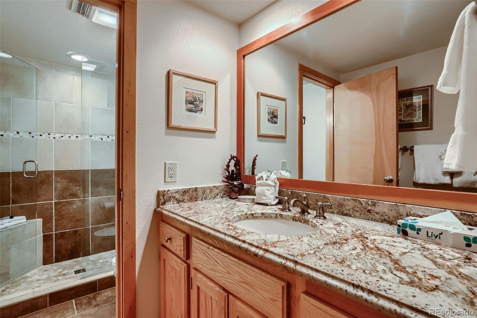 MLS Image #21 for 21690  us highway 6 ,keystone, Colorado
