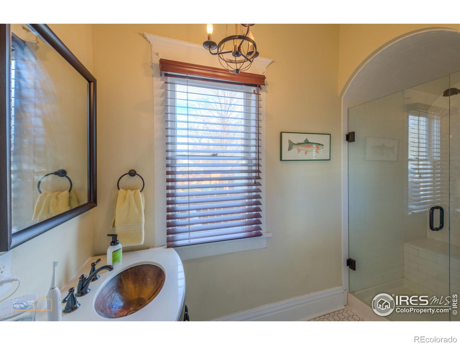 MLS Image #14 for 232  judson street,longmont, Colorado