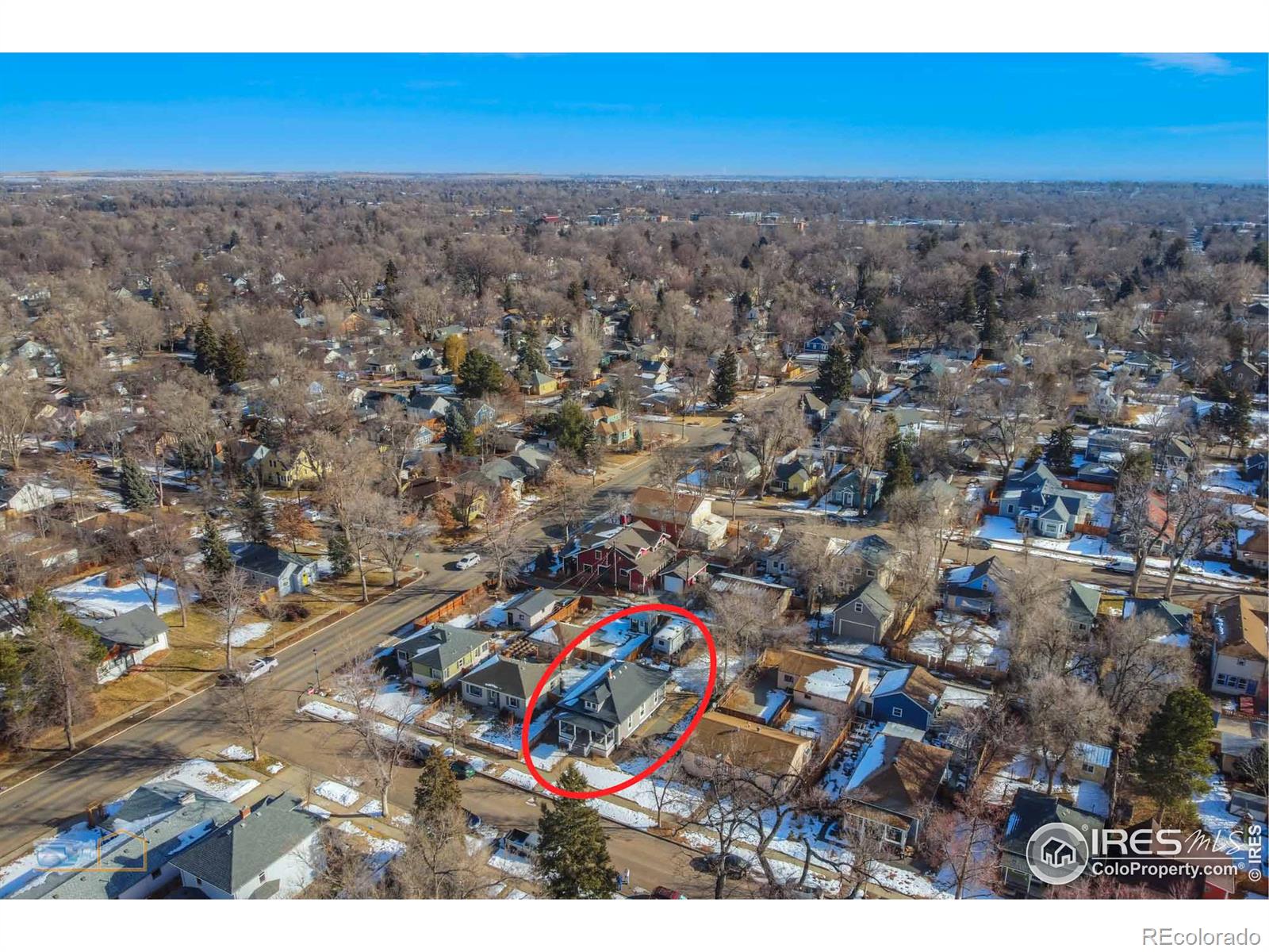 MLS Image #4 for 232  judson street,longmont, Colorado