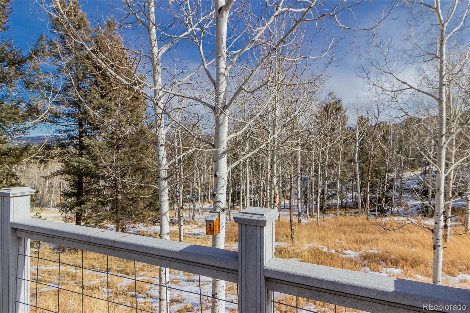 MLS Image #28 for 394  spruce drive,florissant, Colorado
