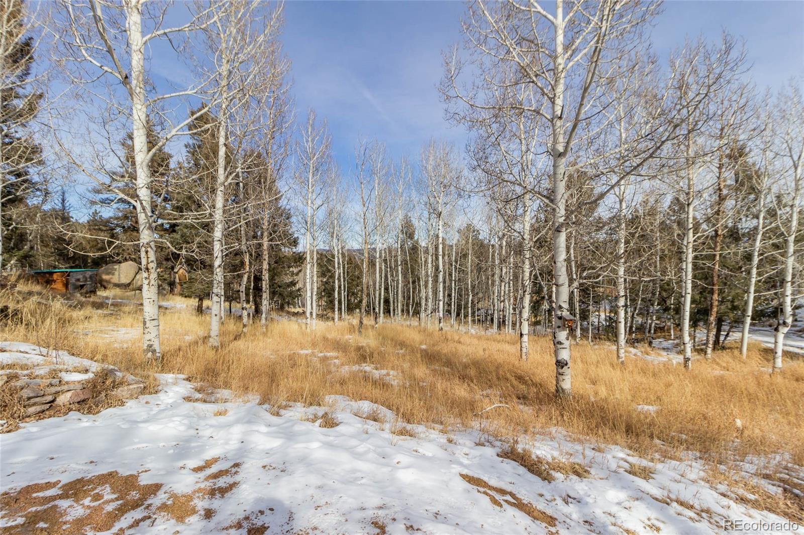 MLS Image #29 for 394  spruce drive,florissant, Colorado