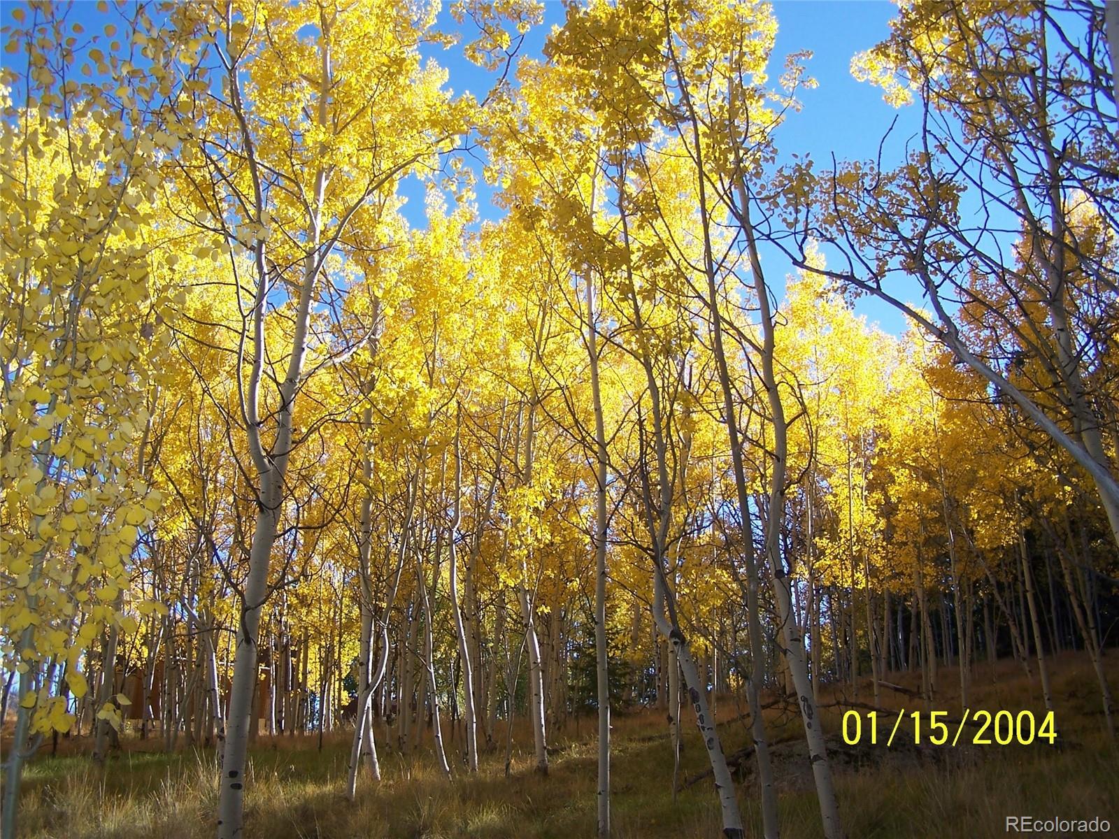 MLS Image #30 for 394  spruce drive,florissant, Colorado