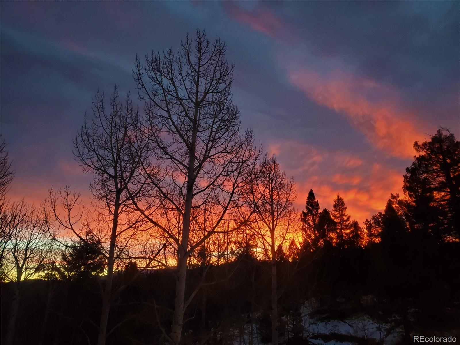 MLS Image #33 for 394  spruce drive,florissant, Colorado