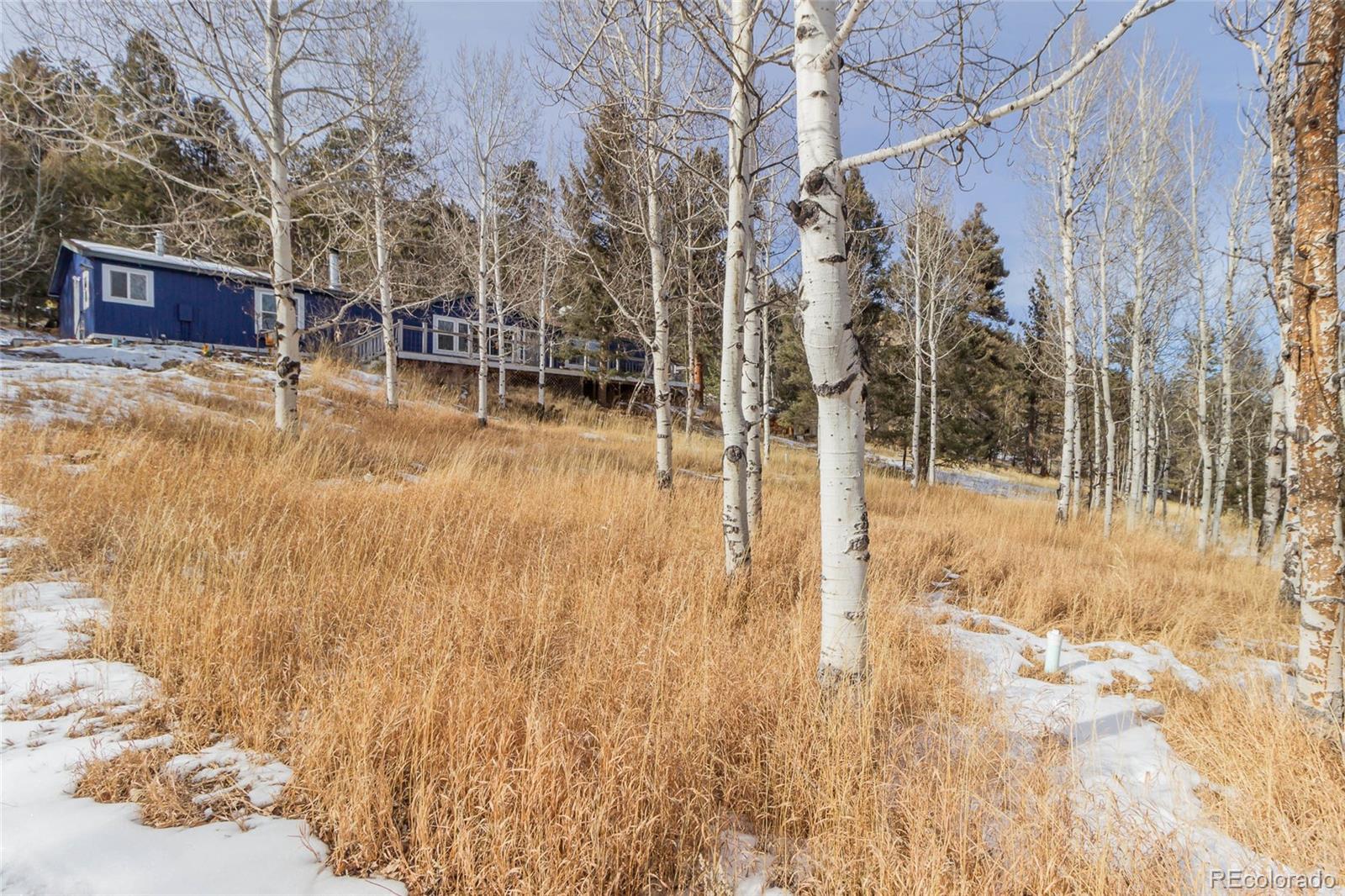 MLS Image #37 for 394  spruce drive,florissant, Colorado