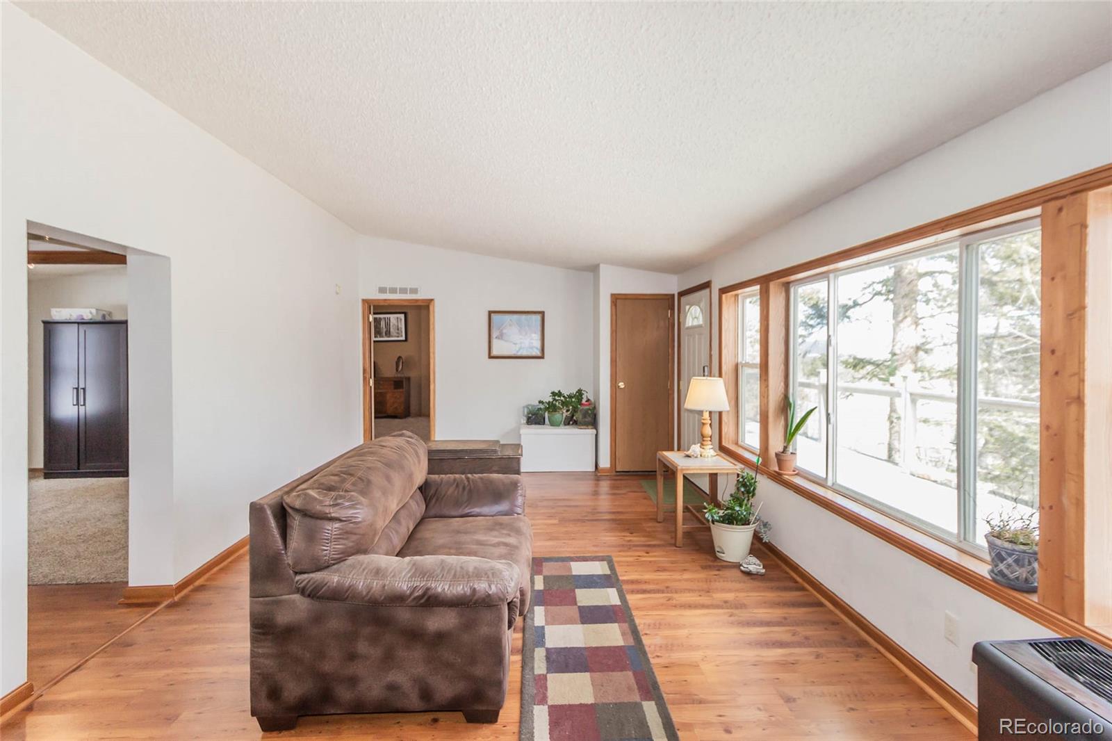 MLS Image #6 for 394  spruce drive,florissant, Colorado