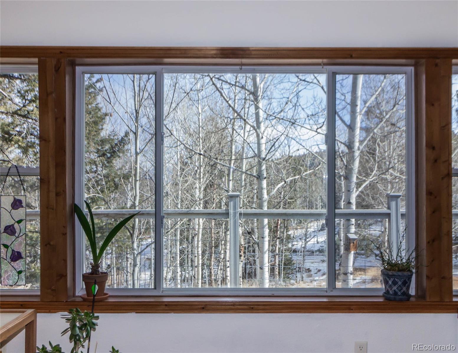 MLS Image #9 for 394  spruce drive,florissant, Colorado