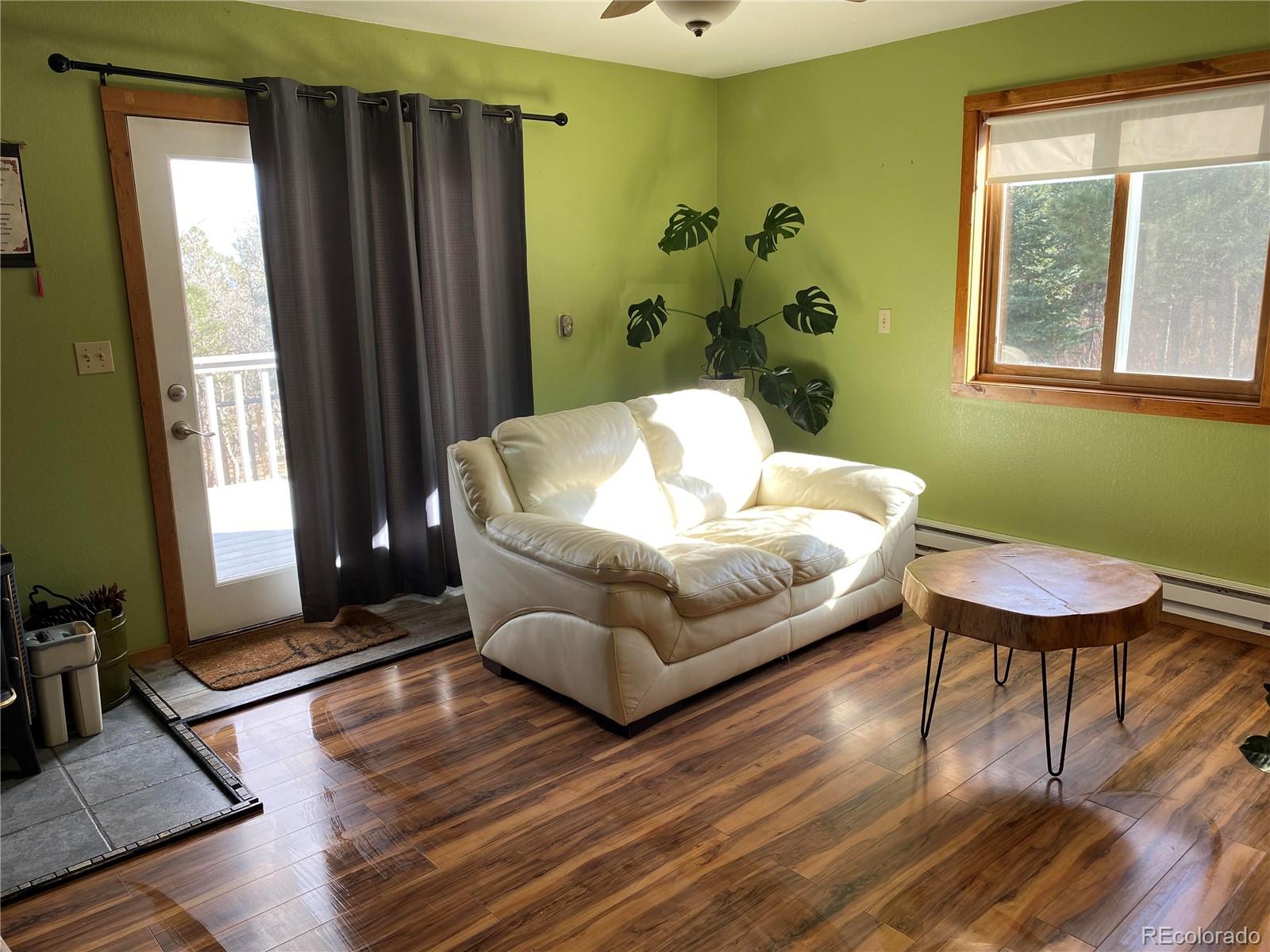 MLS Image #3 for 10755  bartlett trail,rye, Colorado
