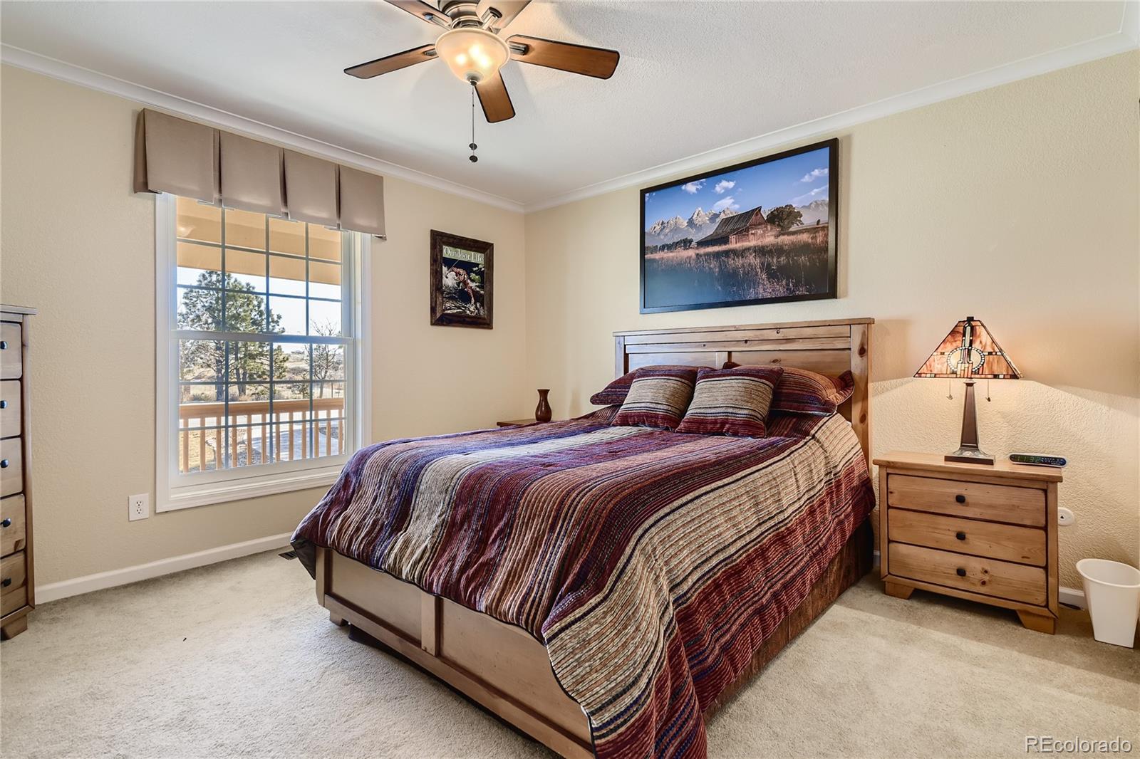 MLS Image #23 for 7731  arrowshaft trail,parker, Colorado