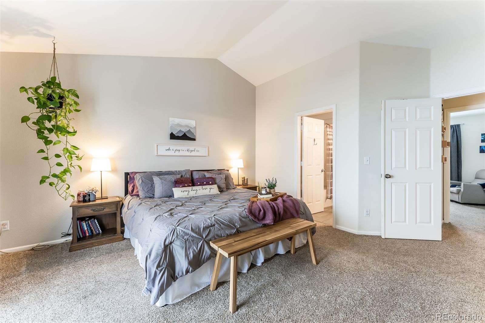 MLS Image #11 for 4135 e 119th place,thornton, Colorado