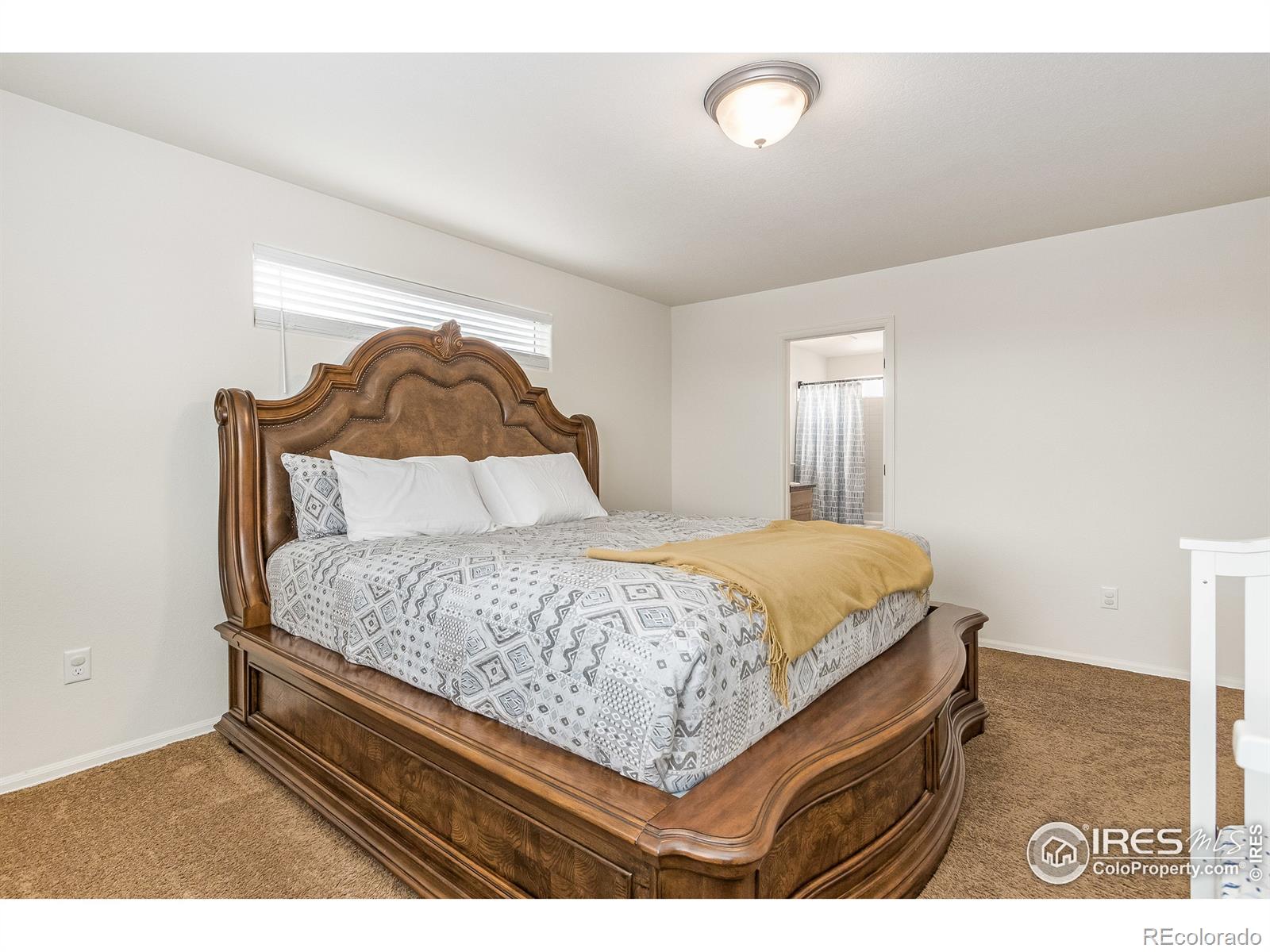 MLS Image #12 for 4205  front stretch drive,wellington, Colorado