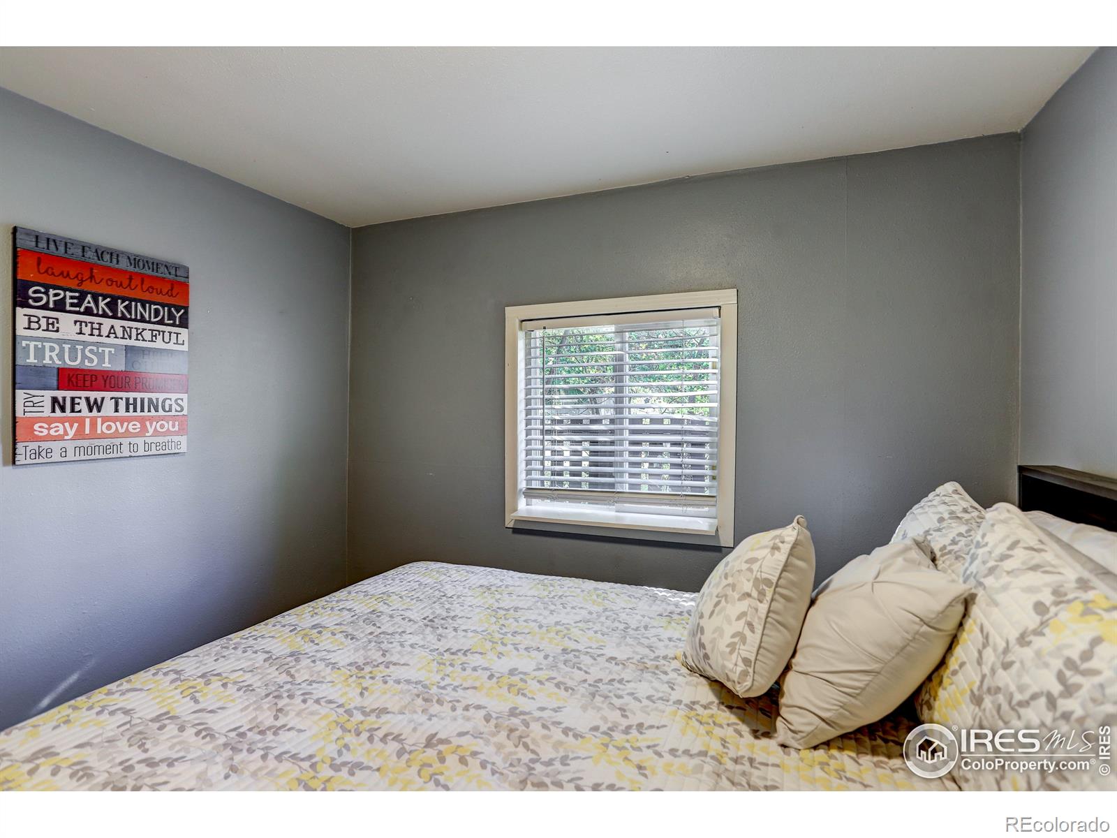 MLS Image #27 for 618 w 1st street,loveland, Colorado