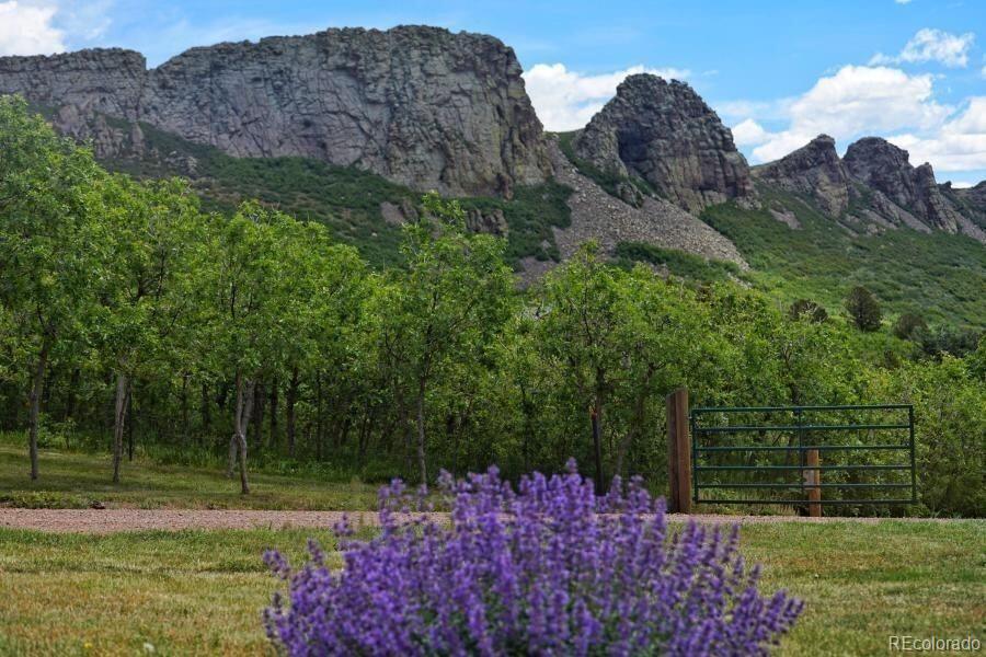 MLS Image #4 for 6864  us highway 160 ,la veta, Colorado