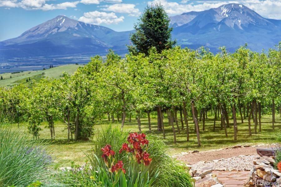 MLS Image #6 for 6864  us highway 160 ,la veta, Colorado