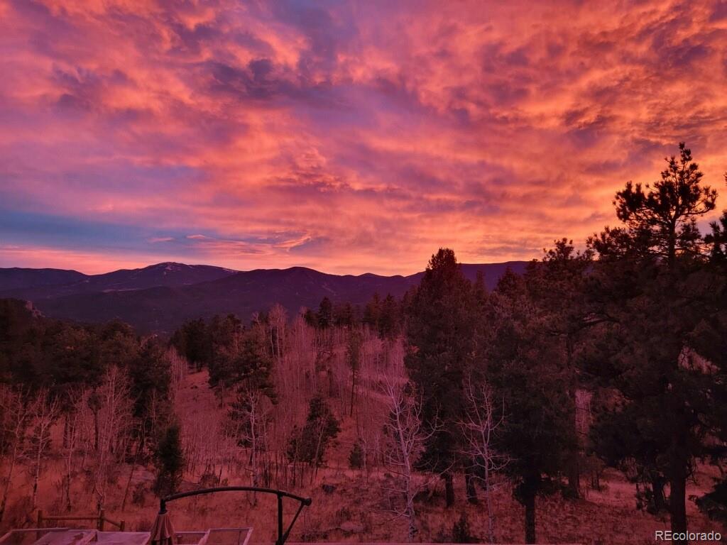 CMA Image for 236  Summit Drive,Bailey, Colorado
