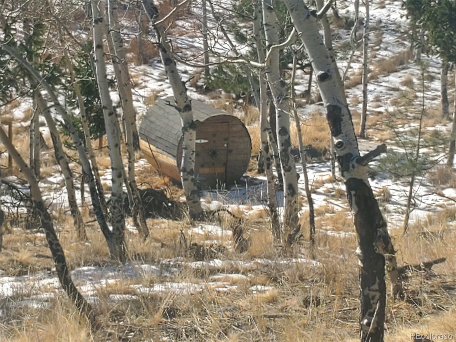 MLS Image #32 for 236  summit drive,bailey, Colorado
