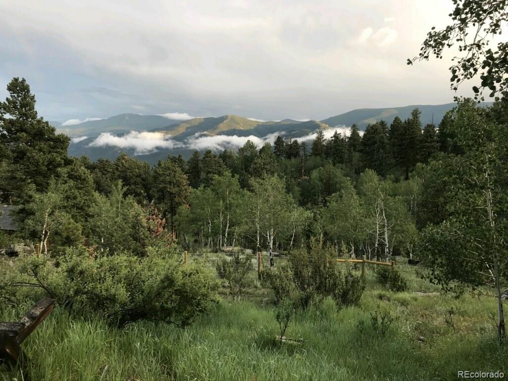 MLS Image #5 for 236  summit drive,bailey, Colorado