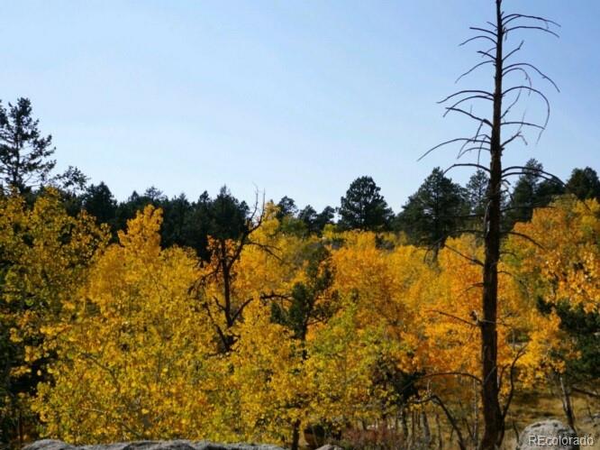MLS Image #6 for 236  summit drive,bailey, Colorado