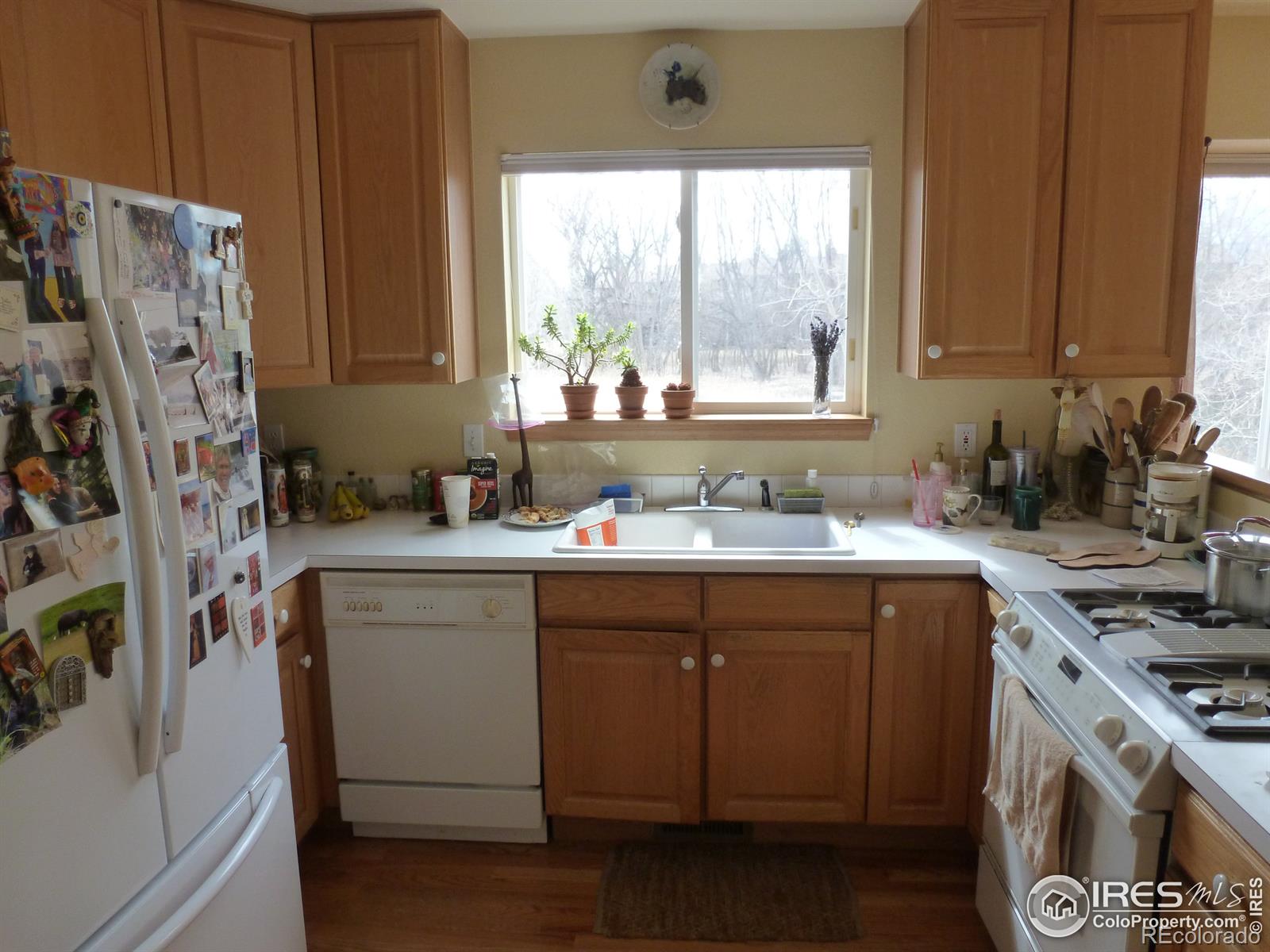 MLS Image #5 for 4772  franklin drive,boulder, Colorado