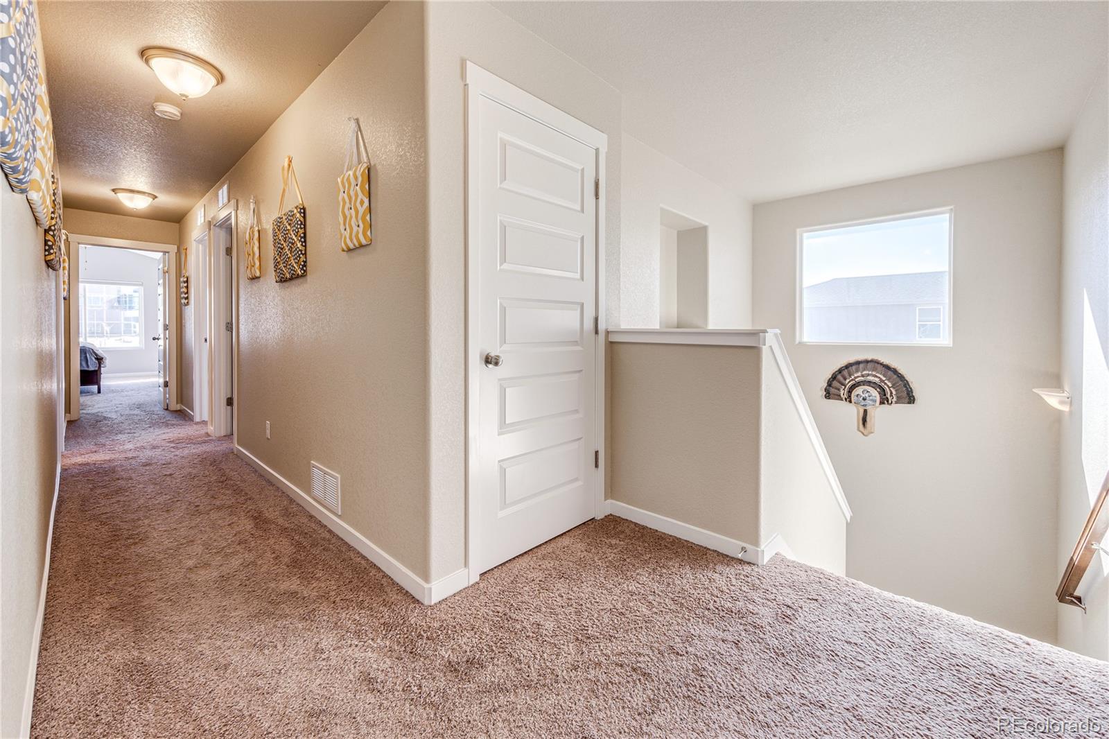 MLS Image #17 for 1314  antrim loop,colorado springs, Colorado