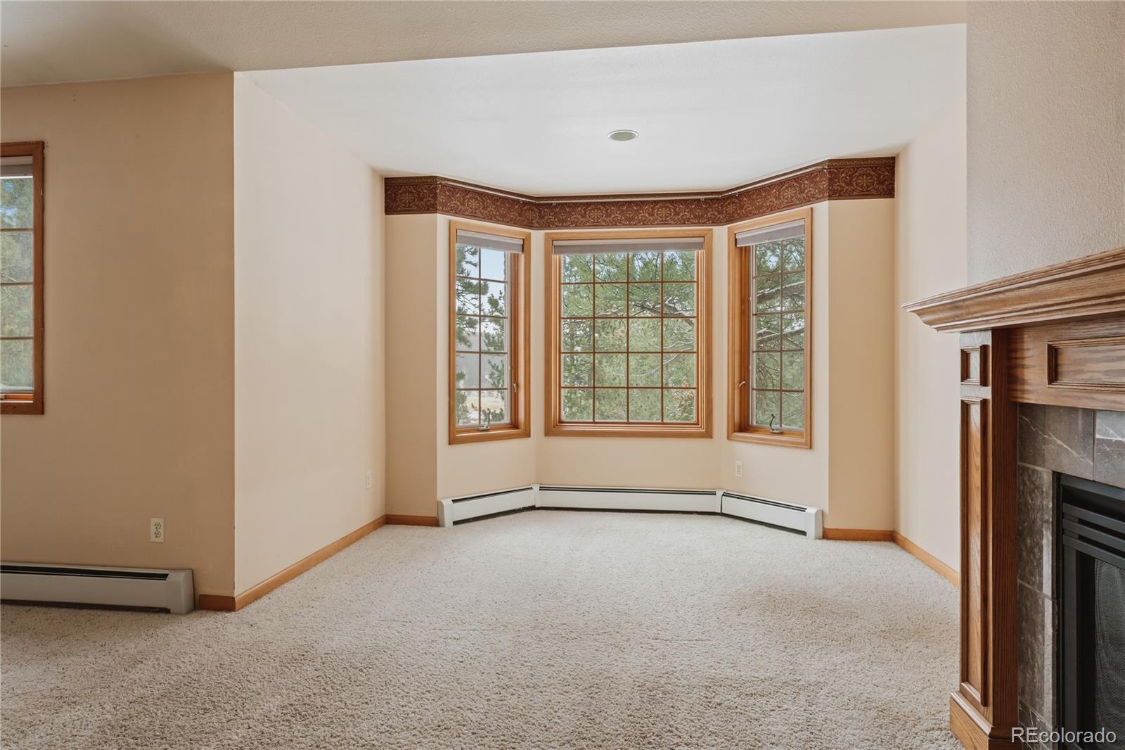 MLS Image #21 for 906  conestoga road,bailey, Colorado