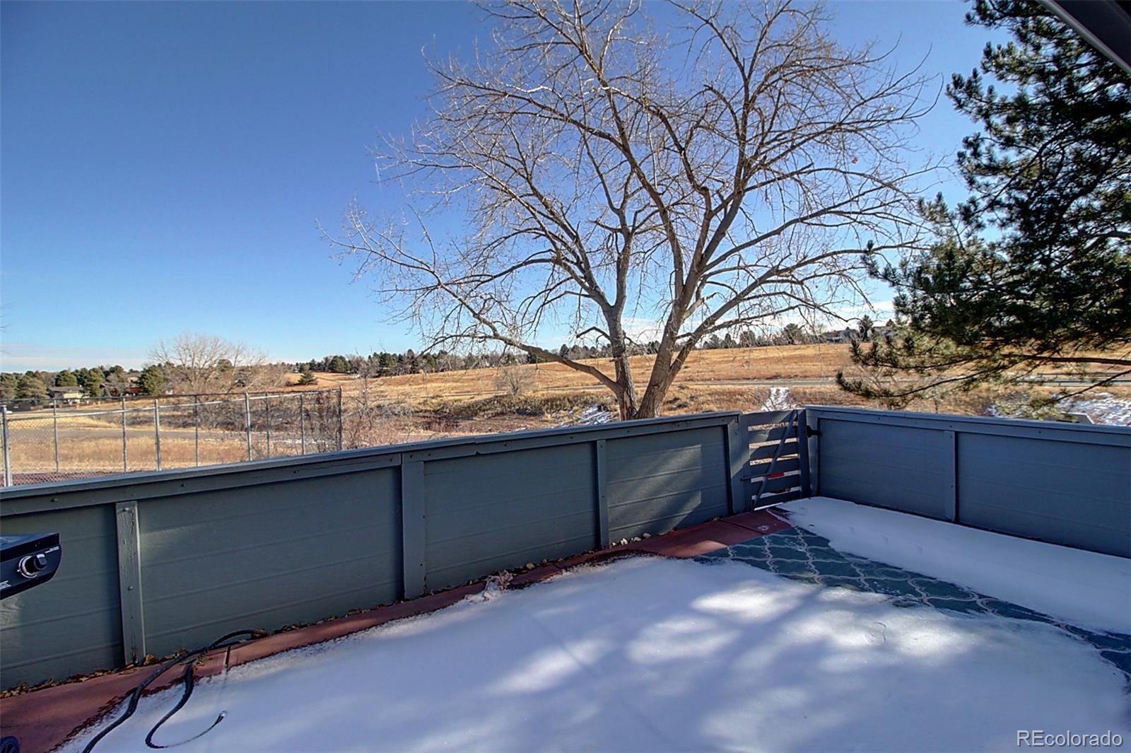MLS Image #29 for 3138 e long circle,centennial, Colorado