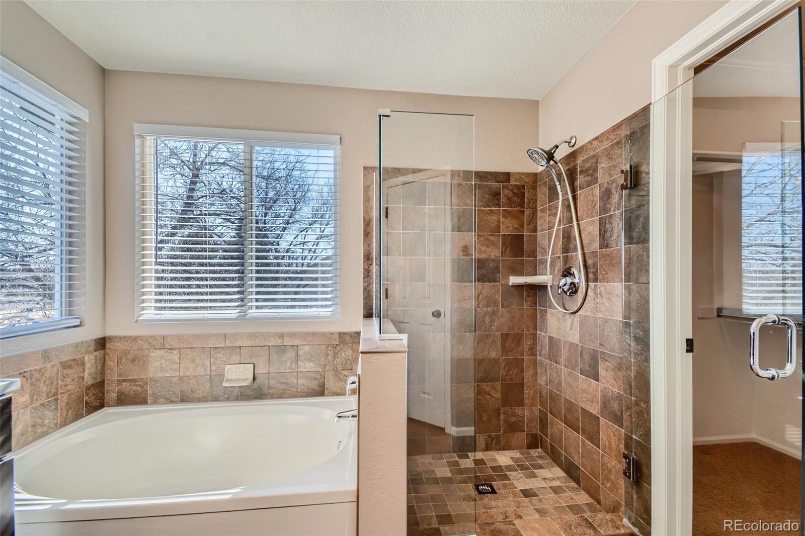 MLS Image #13 for 2698 s kline circle,lakewood, Colorado