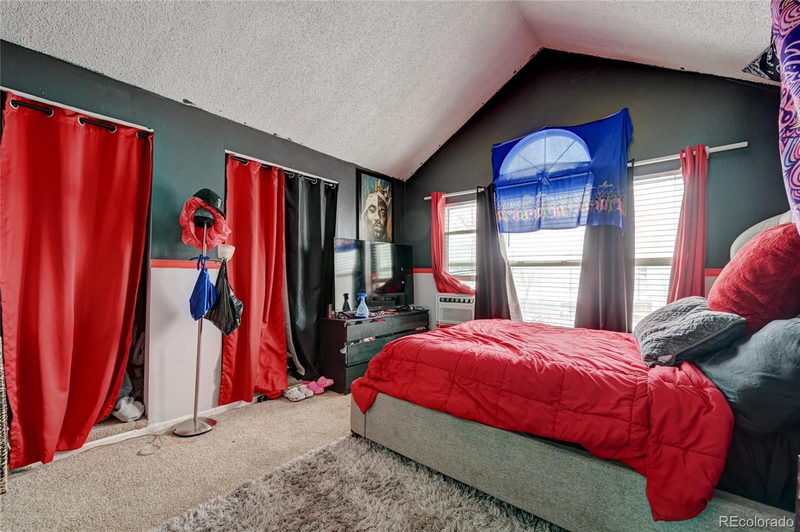 MLS Image #19 for 19340 e 45th avenue,denver, Colorado