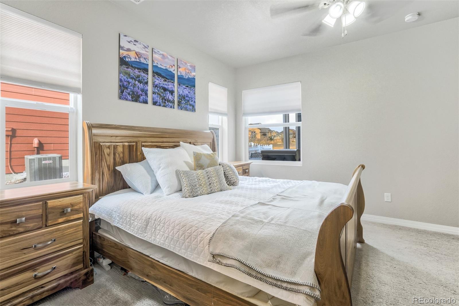 MLS Image #23 for 8853  lily grace point,colorado springs, Colorado