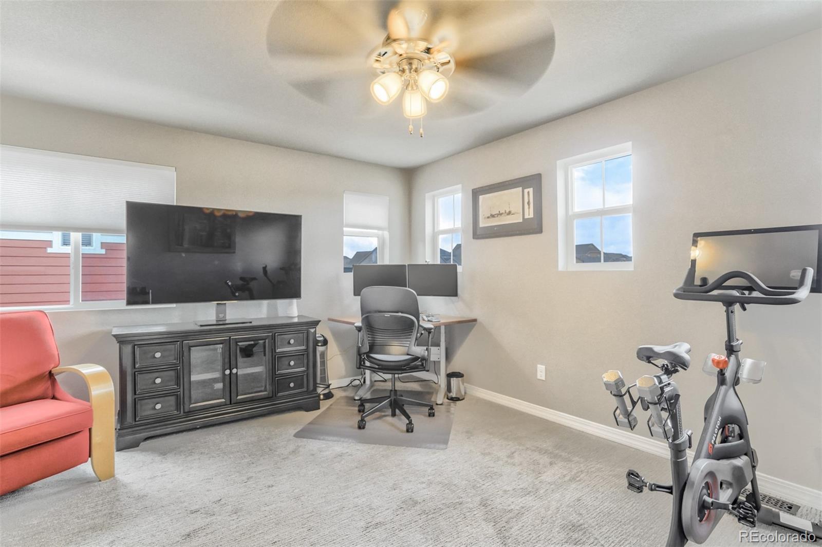 MLS Image #28 for 8853  lily grace point,colorado springs, Colorado