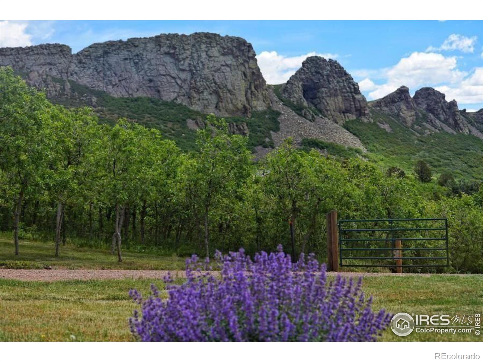 MLS Image #5 for 6864  us highway 160 ,la veta, Colorado