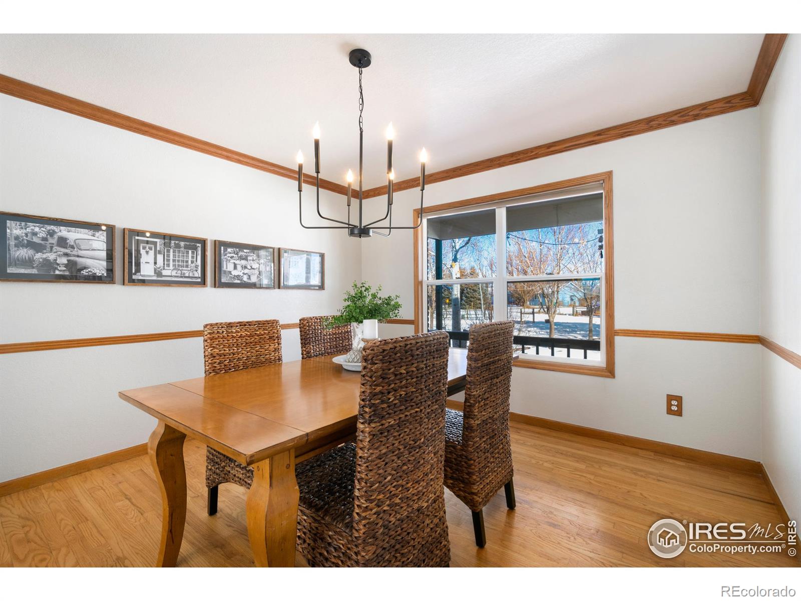 MLS Image #11 for 7703  fox chase lane,wellington, Colorado