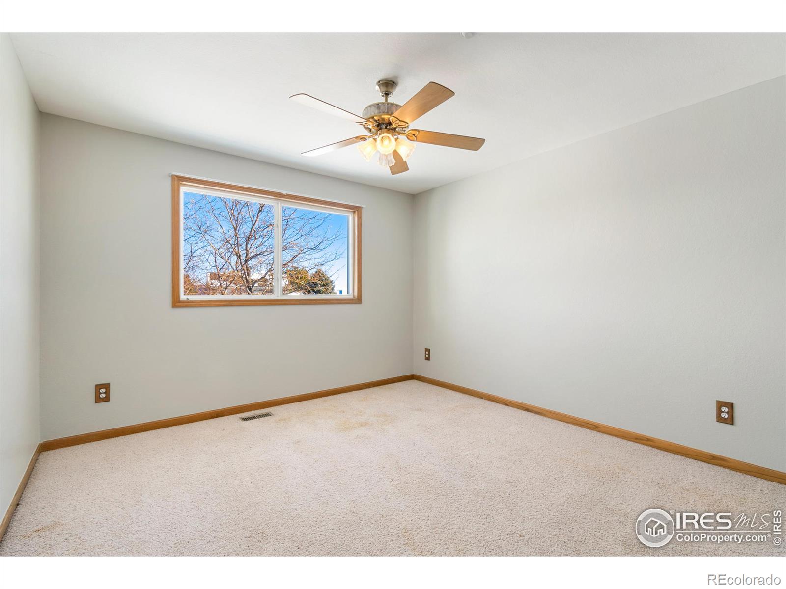 MLS Image #19 for 7703  fox chase lane,wellington, Colorado