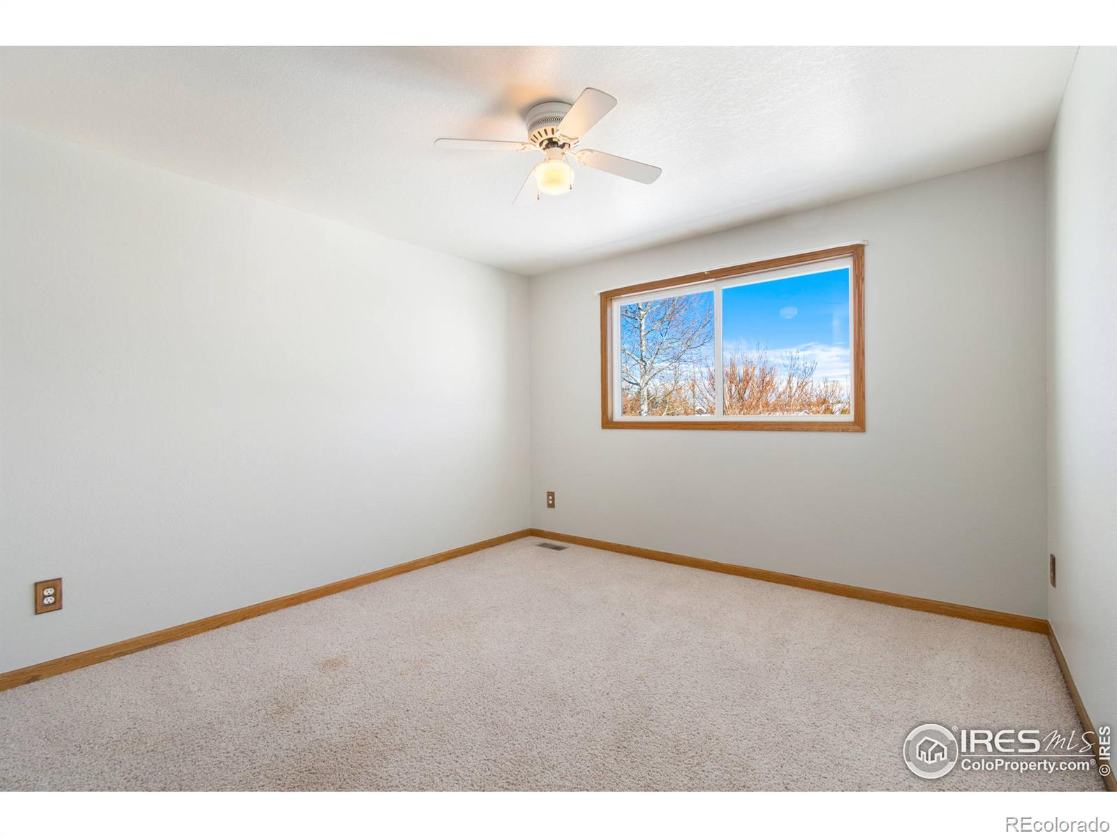 MLS Image #20 for 7703  fox chase lane,wellington, Colorado