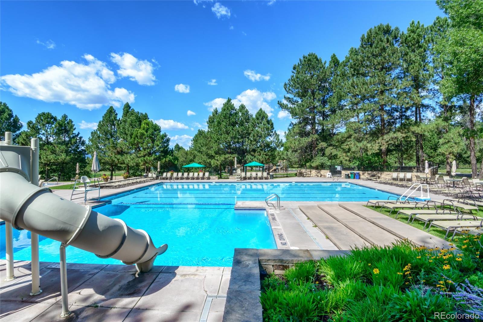 MLS Image #24 for 1145  country club parkway,castle rock, Colorado