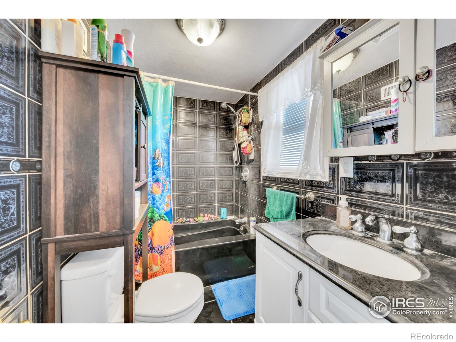 MLS Image #9 for 304  cameron street,brush, Colorado