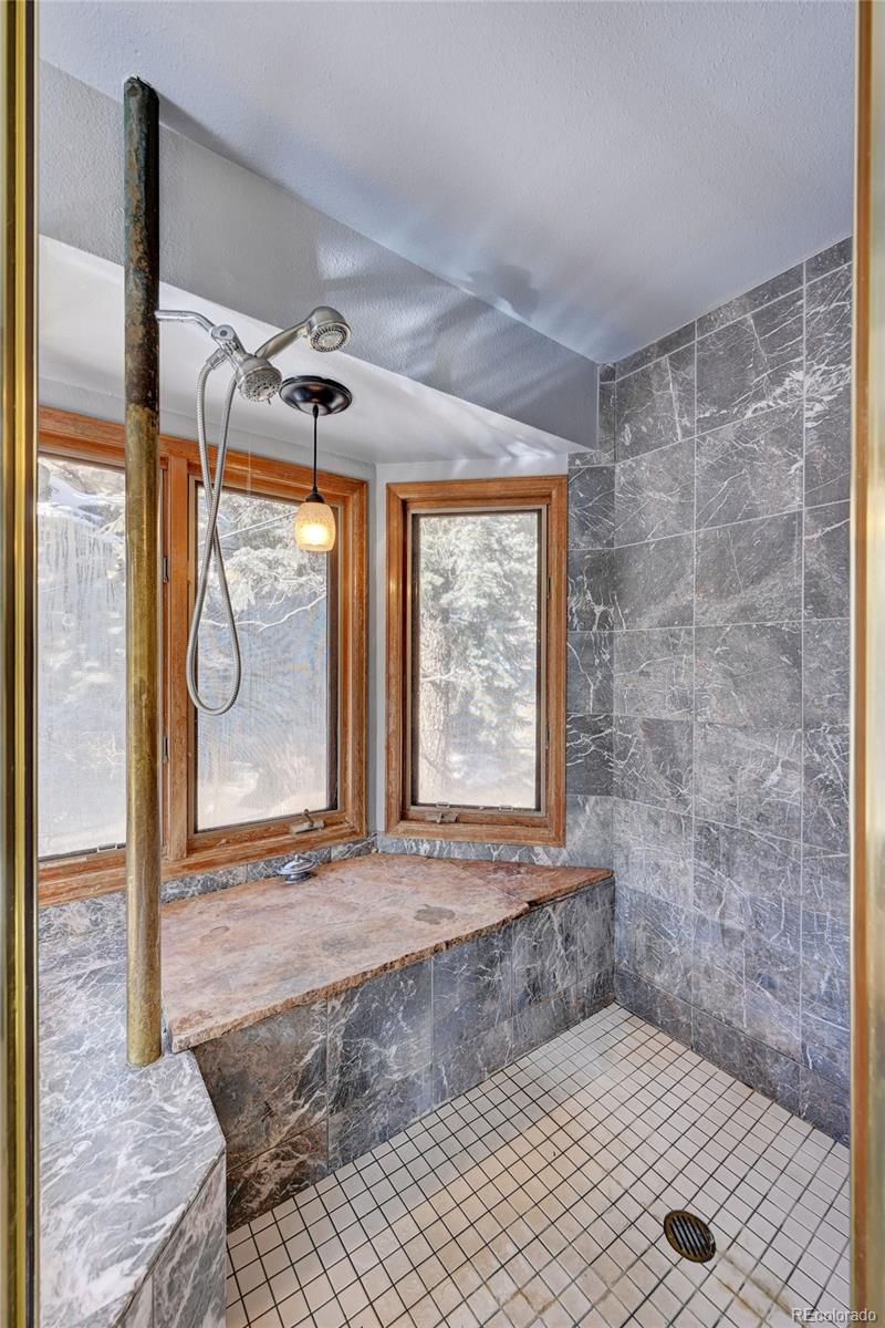 MLS Image #22 for 32811  buffalo creek road,evergreen, Colorado
