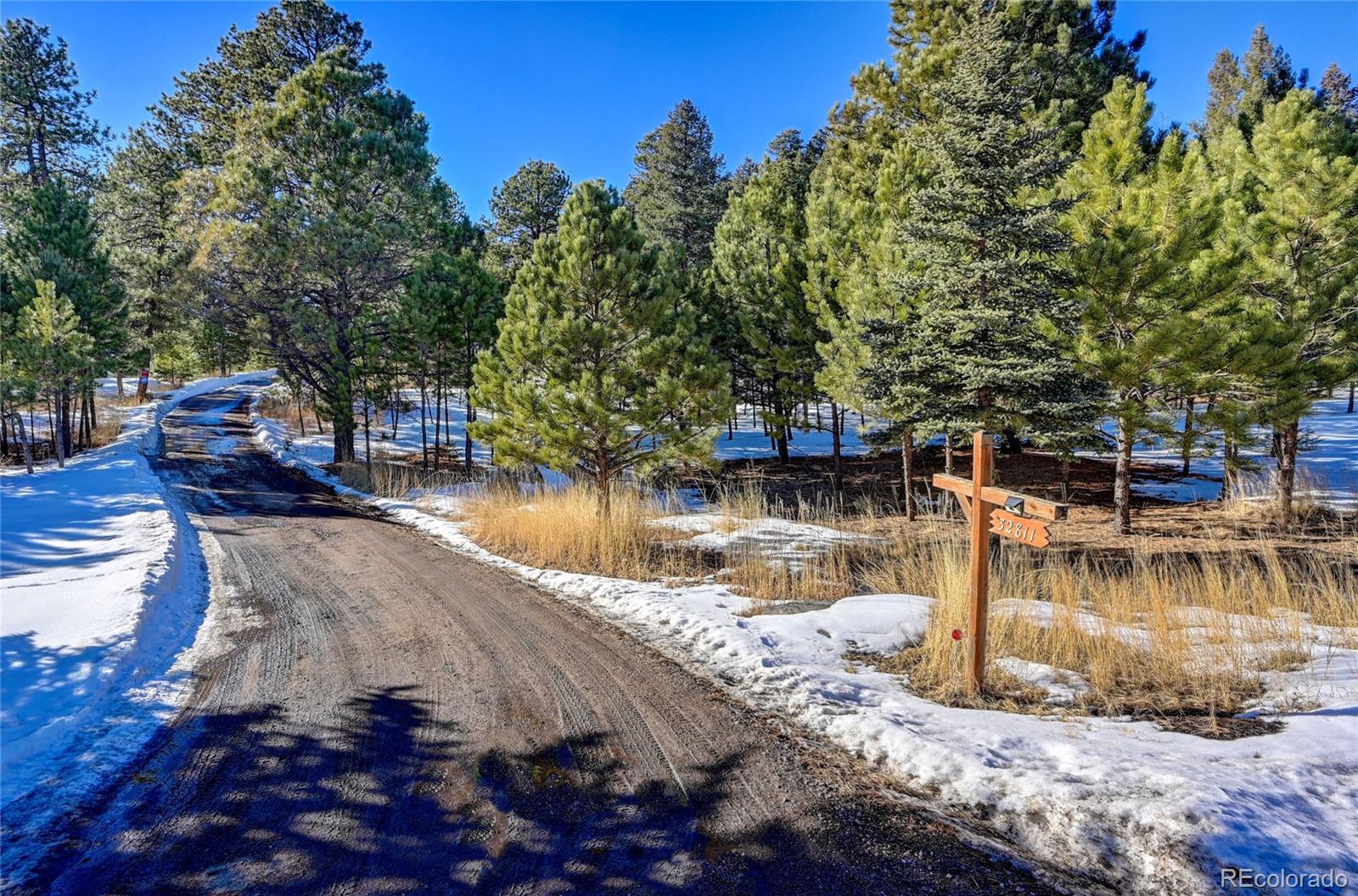 MLS Image #34 for 32811  buffalo creek road,evergreen, Colorado