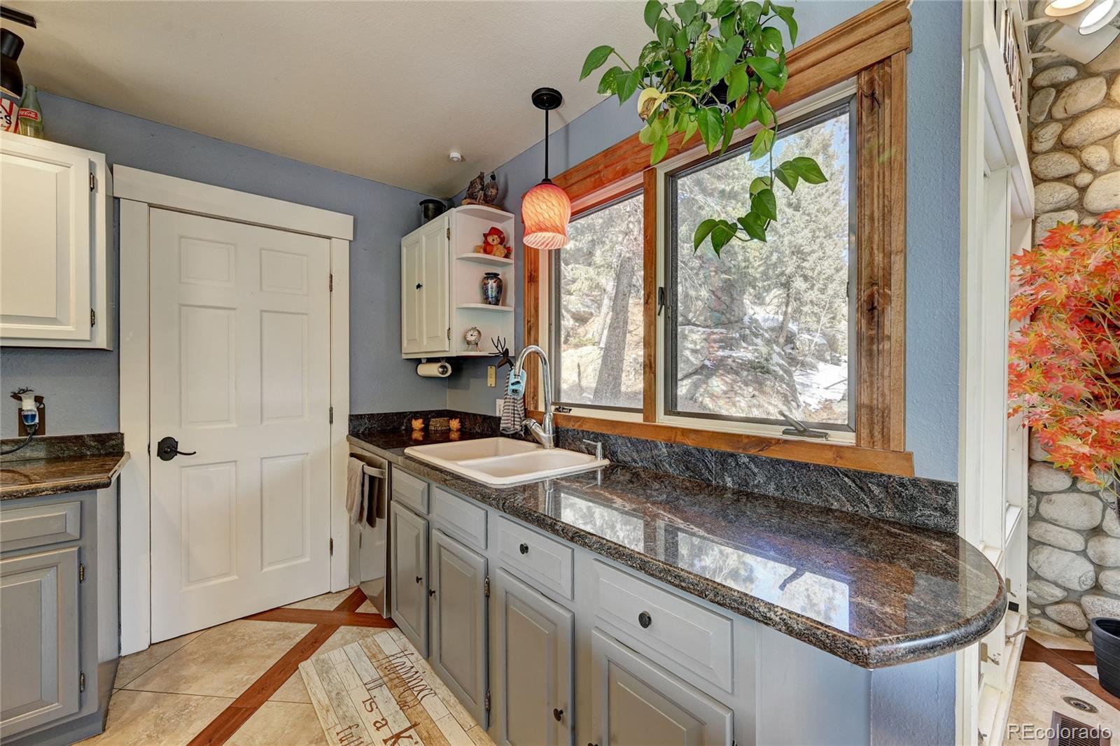 MLS Image #8 for 32811  buffalo creek road,evergreen, Colorado