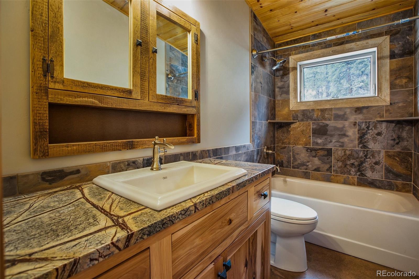 MLS Image #19 for 6882  county rd 11 ,florissant, Colorado