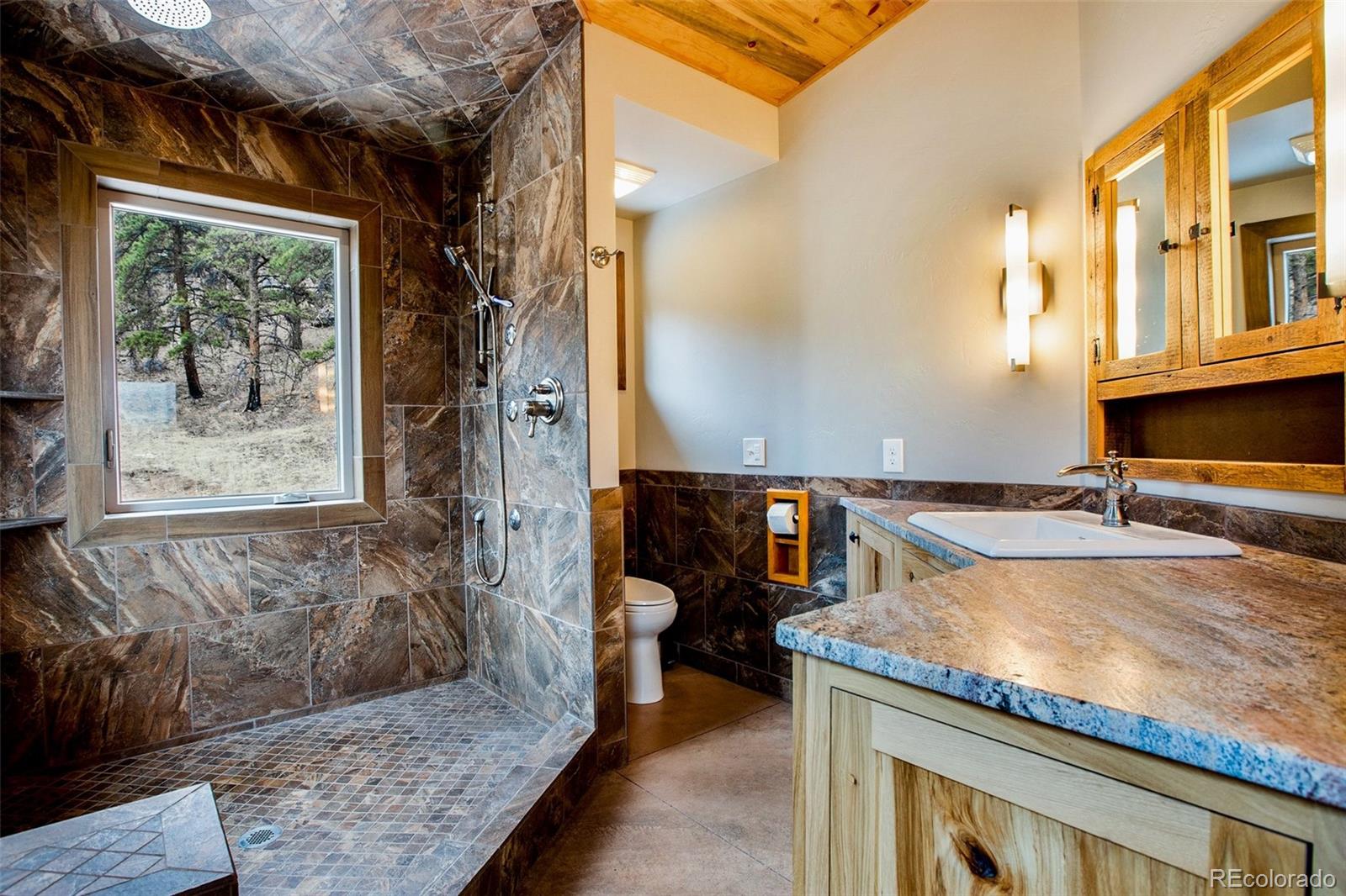MLS Image #23 for 6882  county rd 11 ,florissant, Colorado
