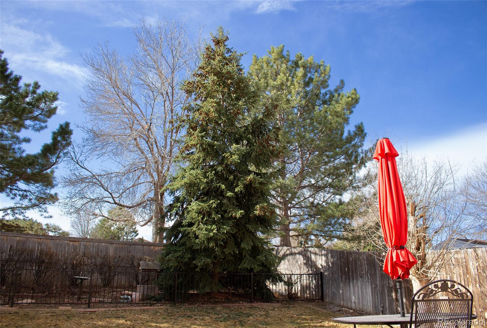 MLS Image #25 for 20252 e prentice lane,centennial, Colorado